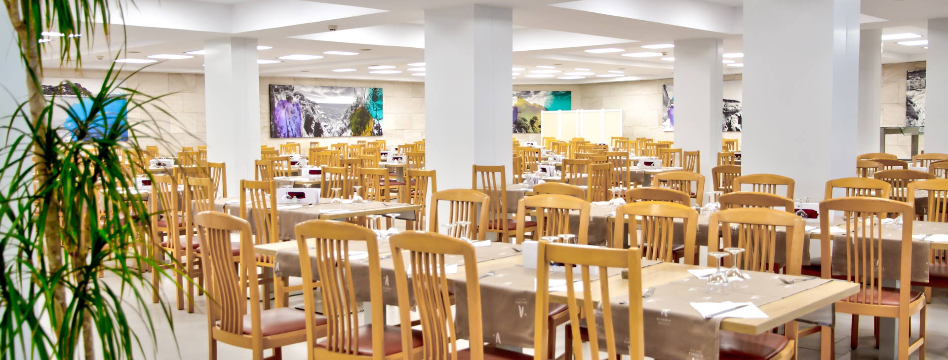 ALEGRIA Fenals Mar Obrázok10