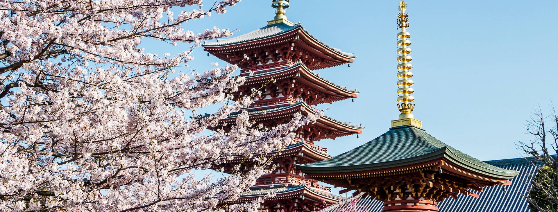 Ubytování JAR Obrázok1