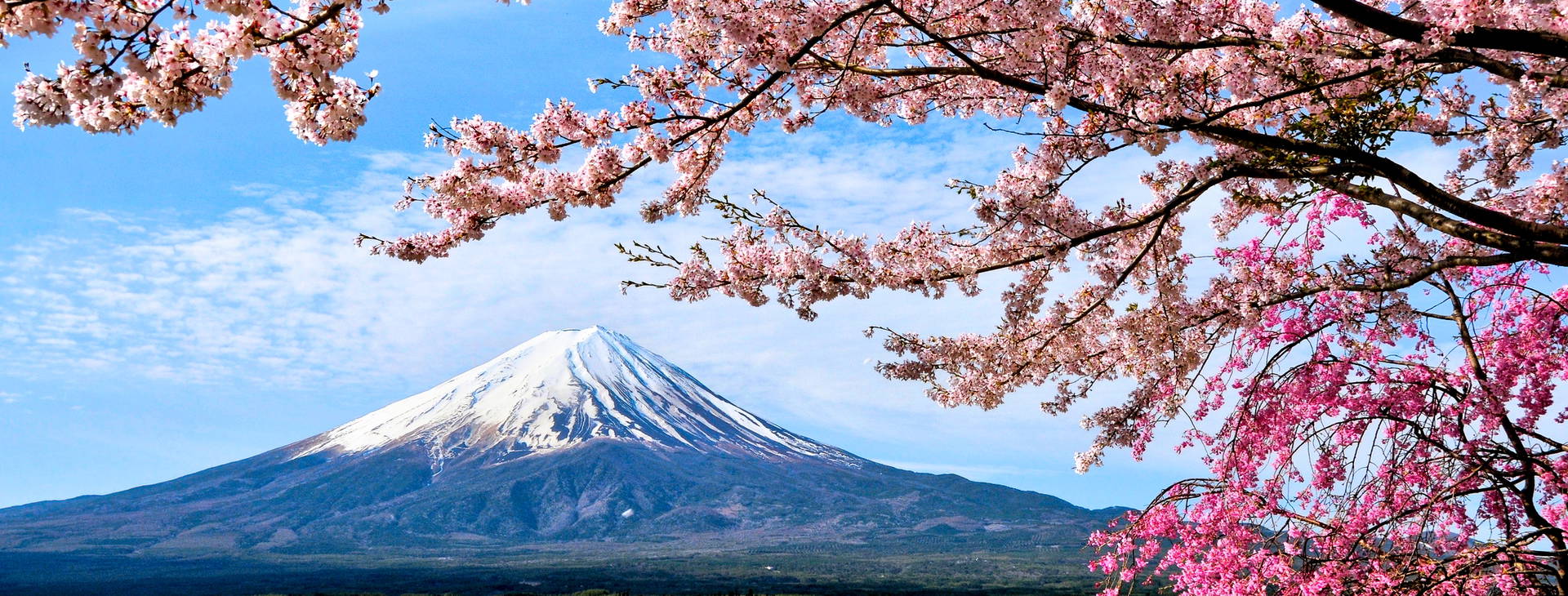 Ubytování JAR Obrázok6