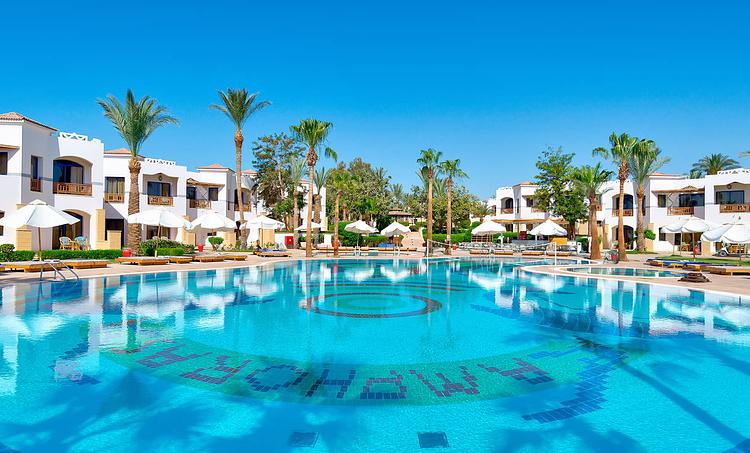 Amphoras (ex. Otium Amphoras)-obr