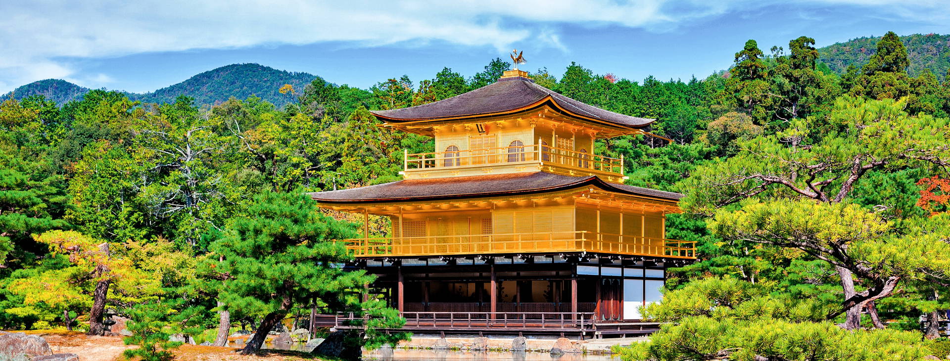 Ubytování JAR Obrázok24