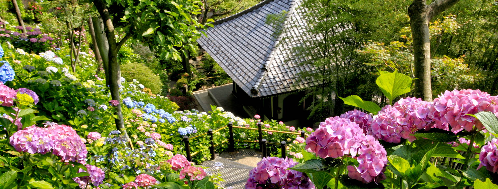 Ubytování JAP Obrázok16