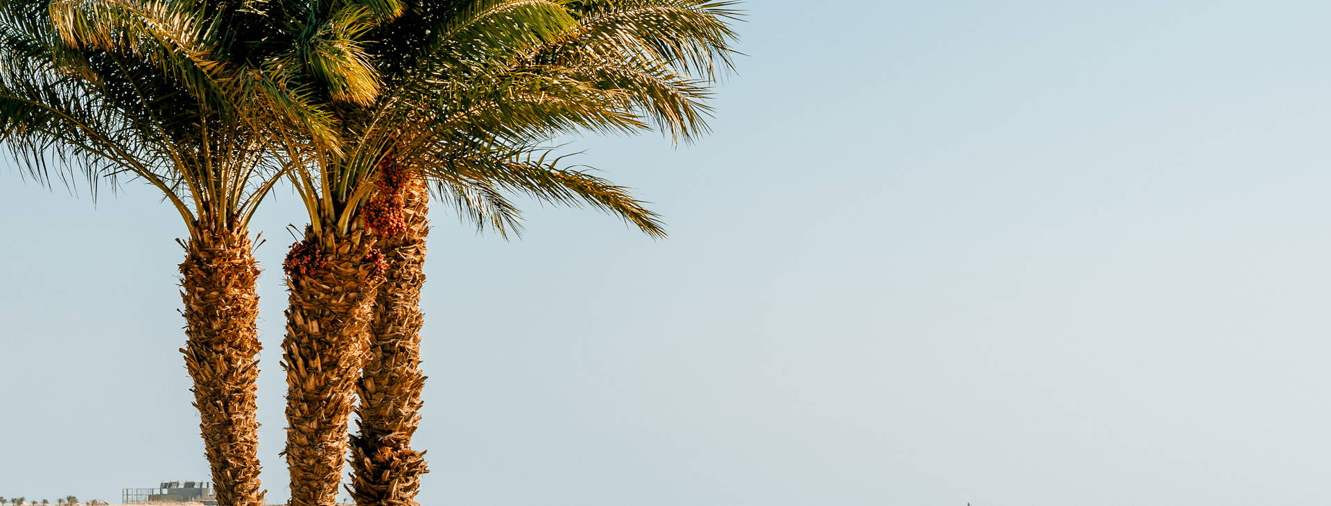 Baron Palace Sahl Hasheesh Obrázok34