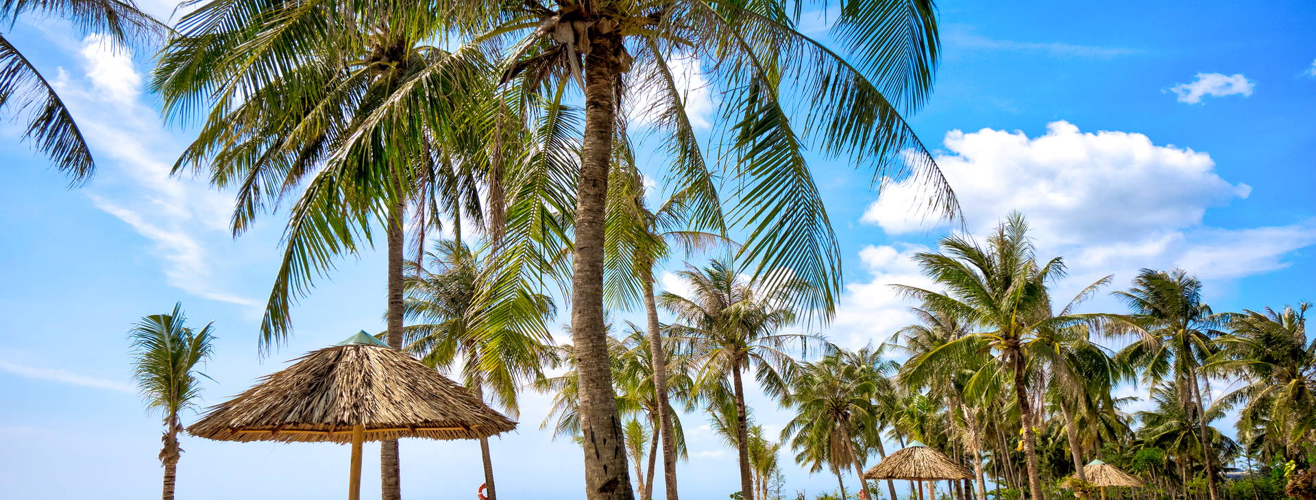 SOL by Melia Phu Quoc Obrázok16