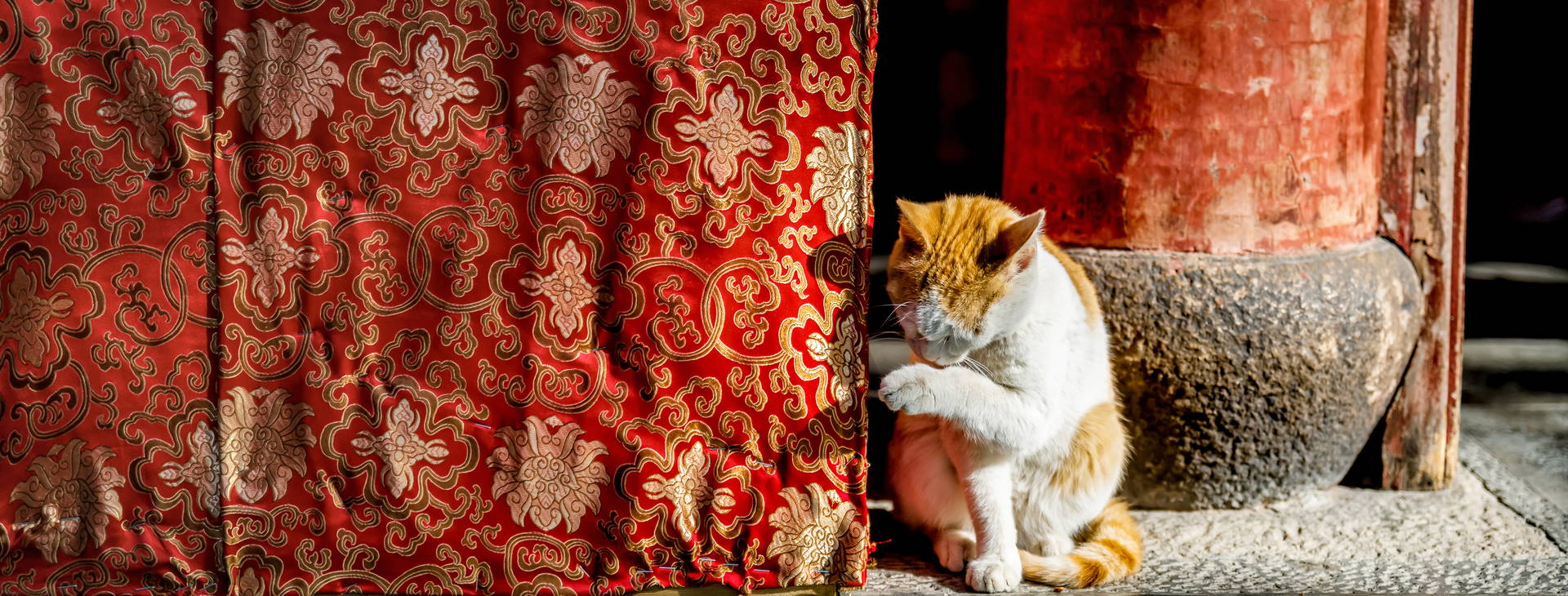 Ubytování CHO Obrázok9