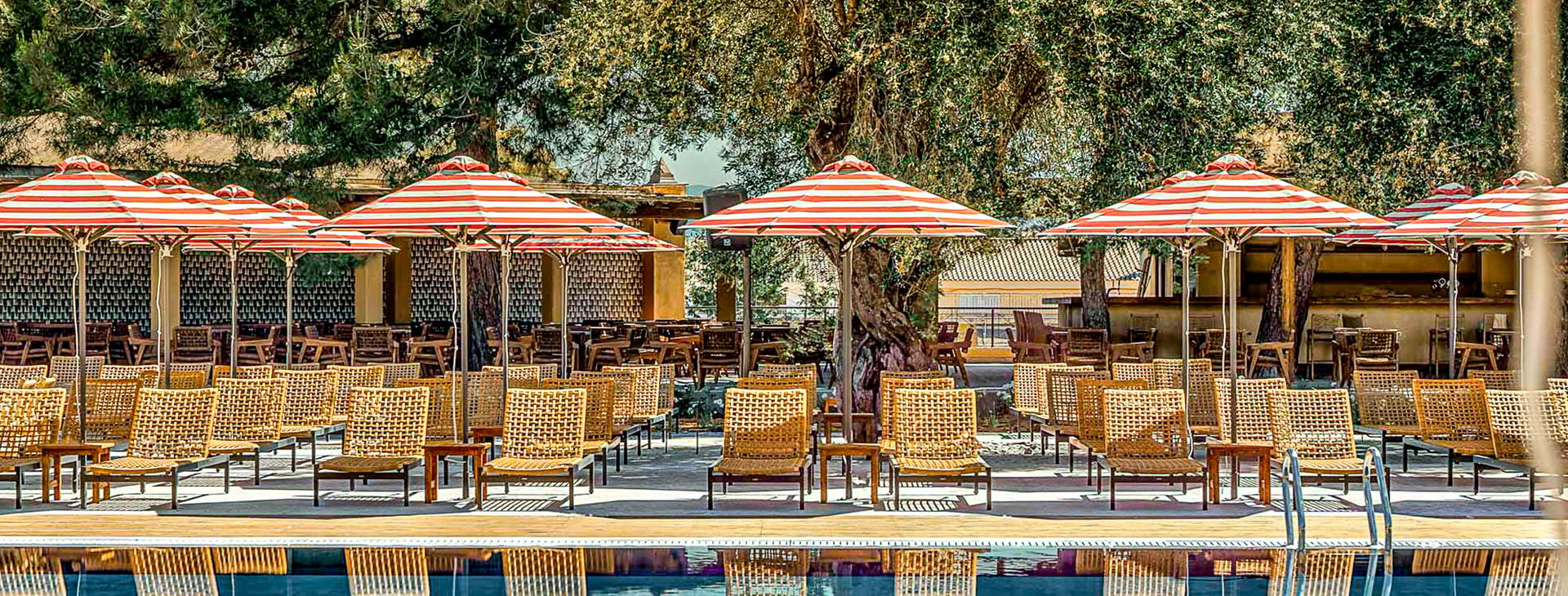 Cook’s Club Obrázok4