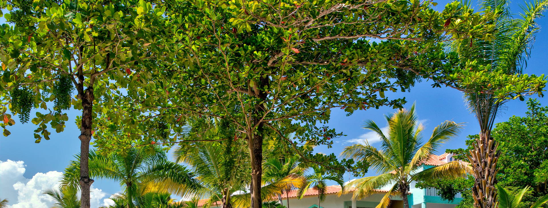 VH Gran Ventana Beach Resort  Obrázok3