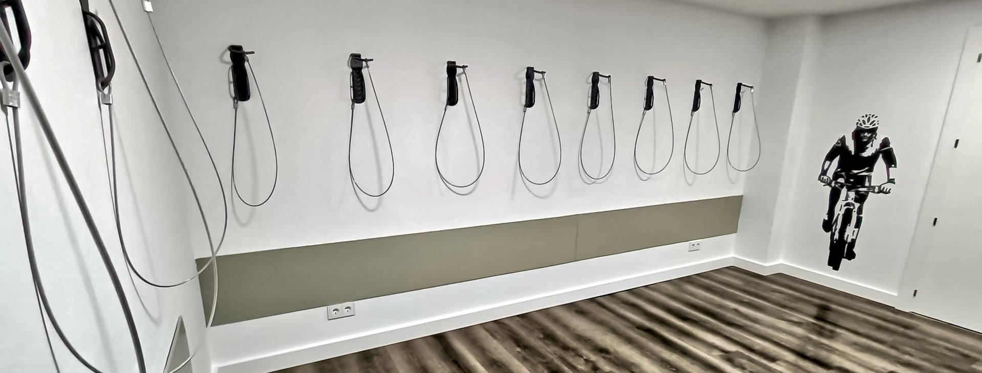 Vibra Palma Cactus Obrázok20