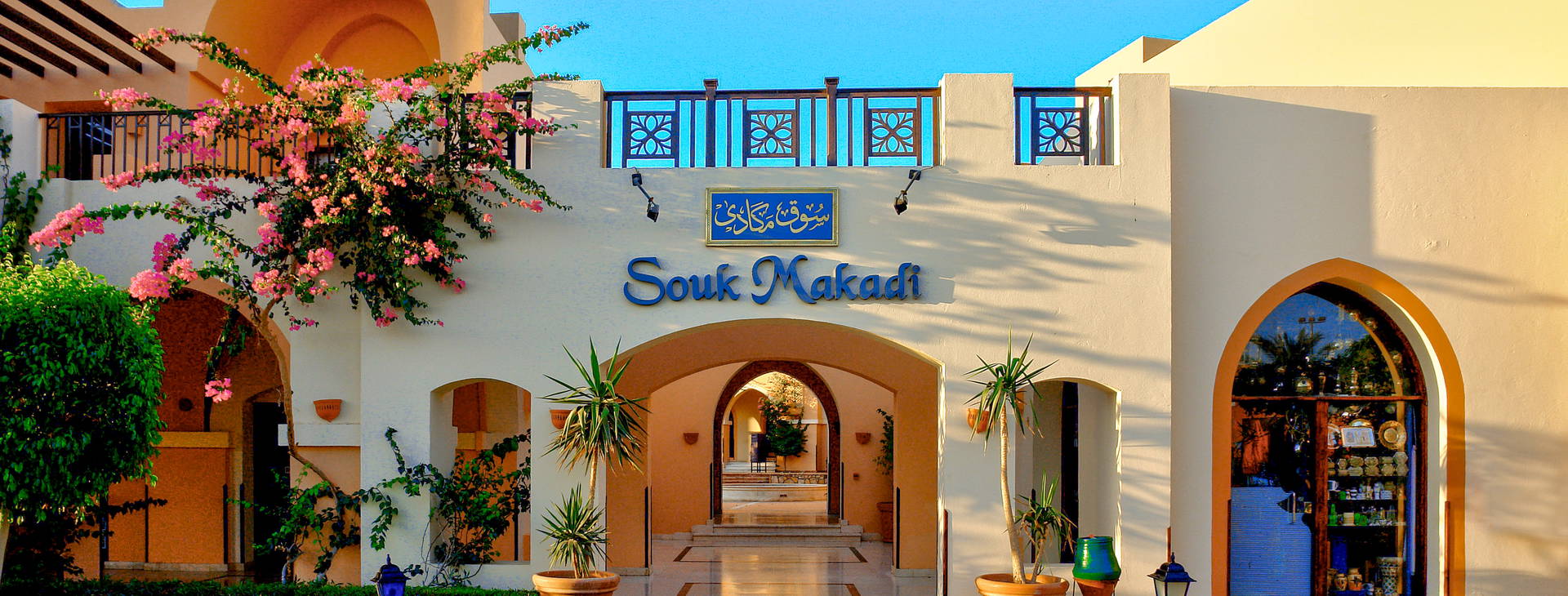 Jaz Makadina Obrázok13