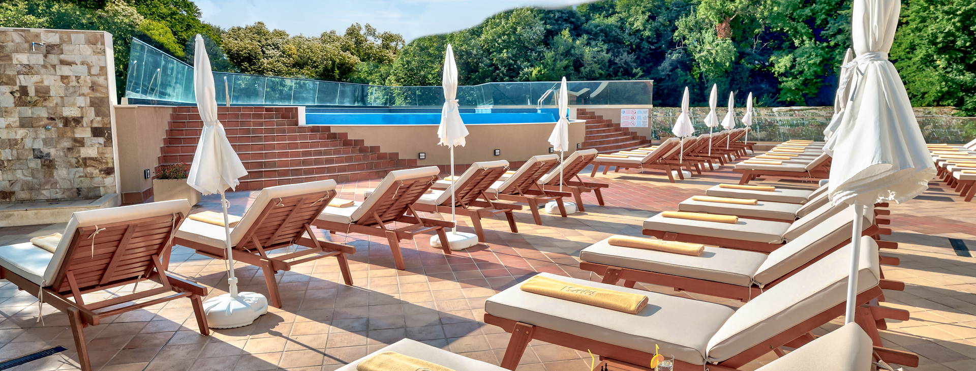 Grifid Foresta Obrázok1