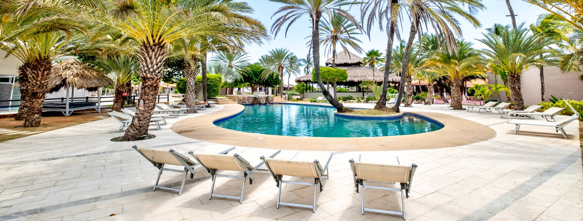 Paradise Coche Obrázok1