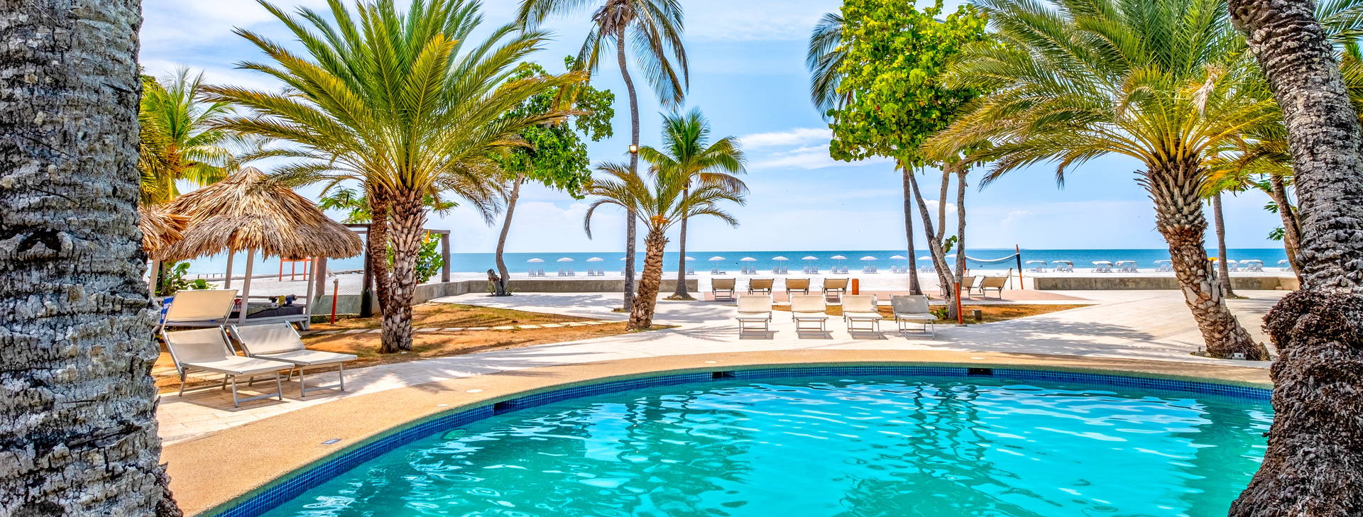 Paradise Coche Obrázok3