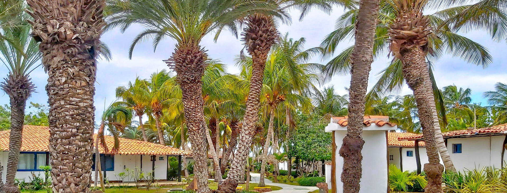 SUNSOL Punta Blanca Obrázok20