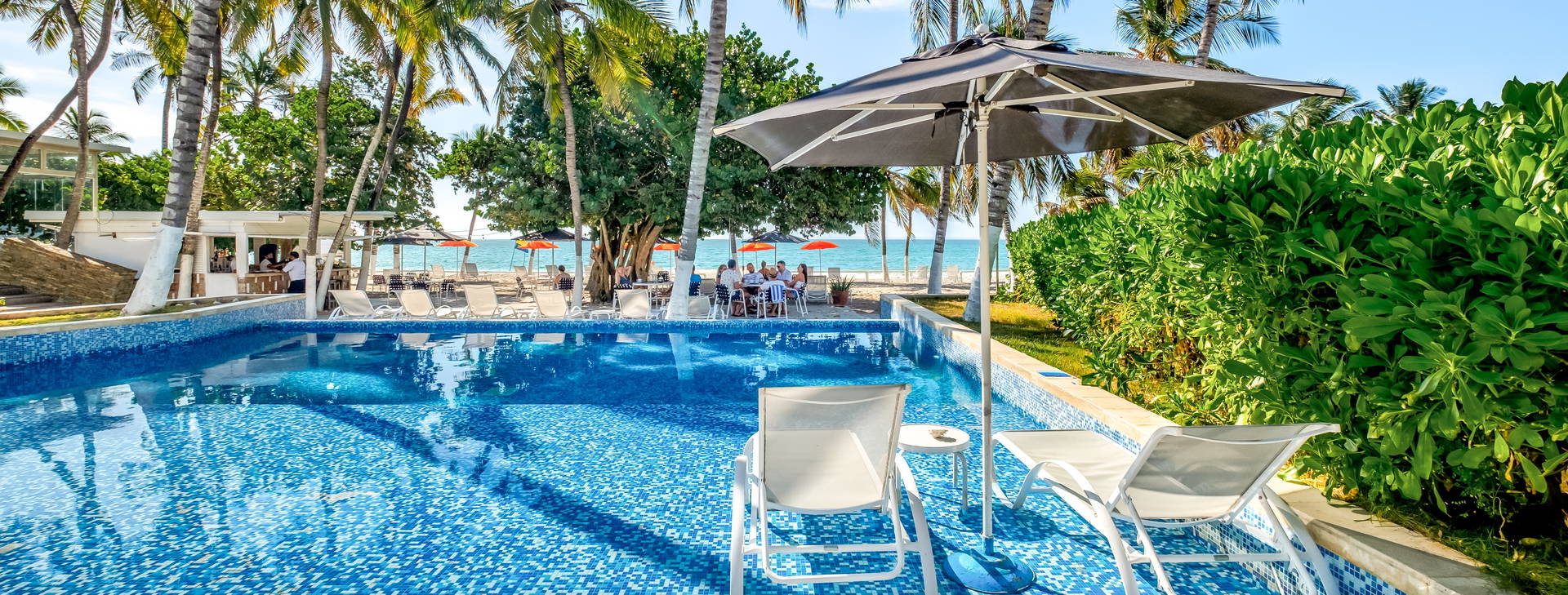 Paradise Oasis Obrázok8