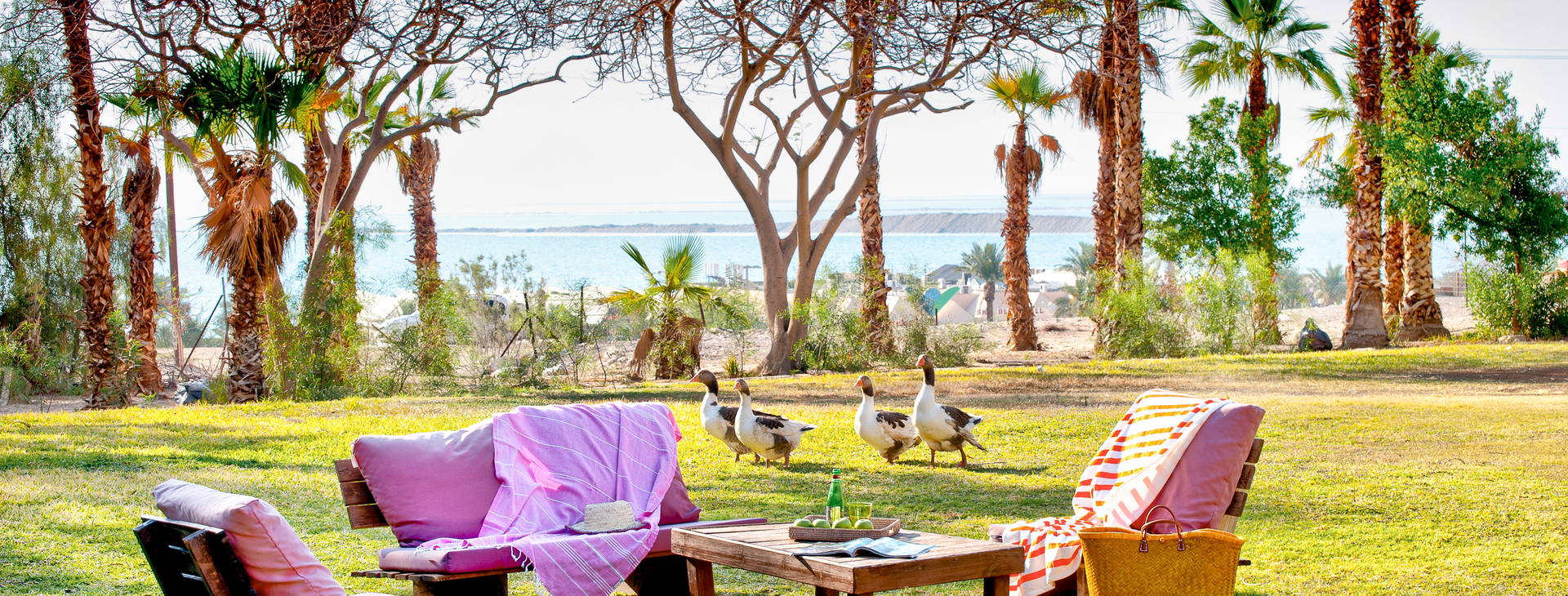 Leonardo Inn Dead Sea IZM Obrázok7