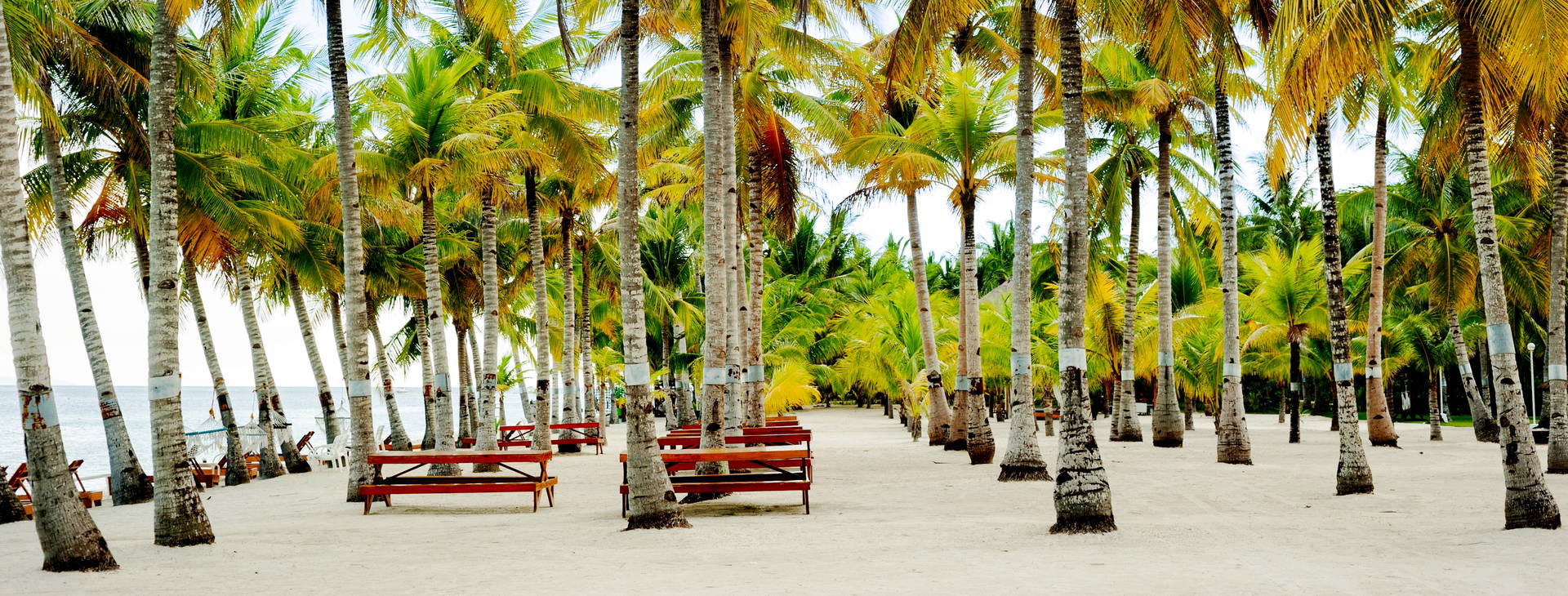 Bohol Beach Club Obrázok34