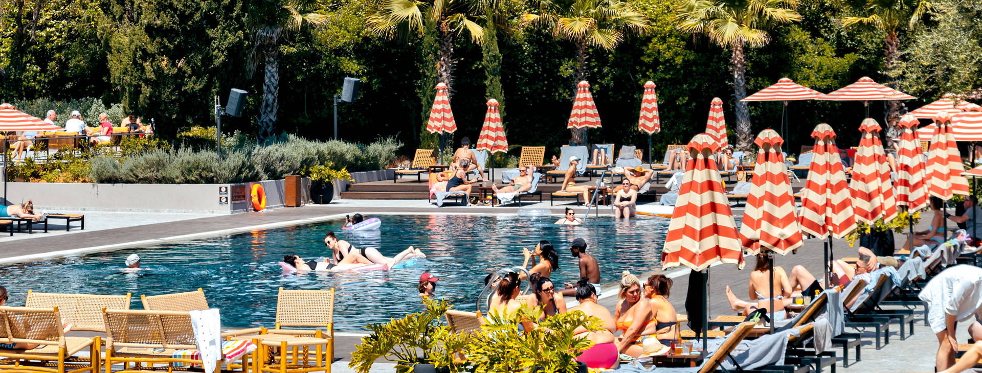 Cook’s Club Obrázok6