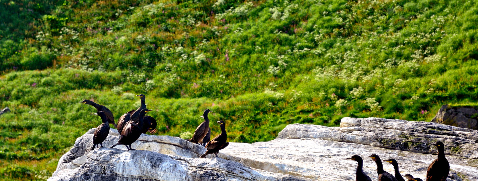 Ubytování NDC Obrázok26