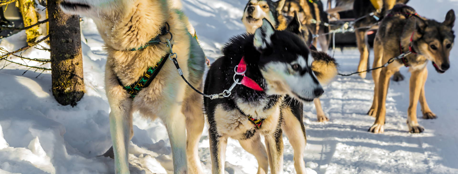 Ubytování NDC Obrázok25