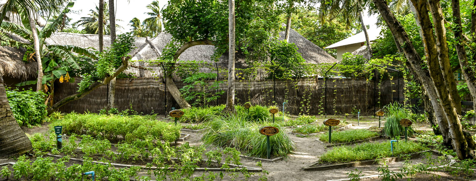 Adaaran Club Rannalhi Obrázok40