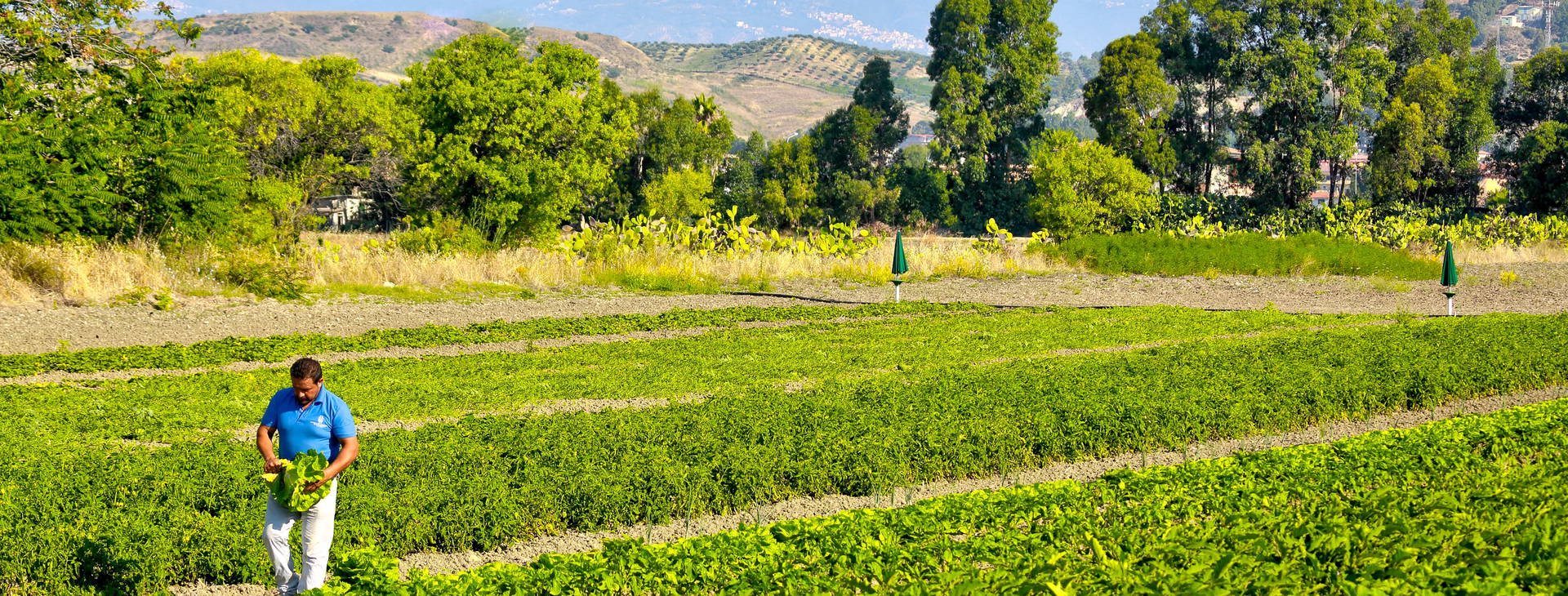 Marina del Marchese Beach Resort Obrázok26
