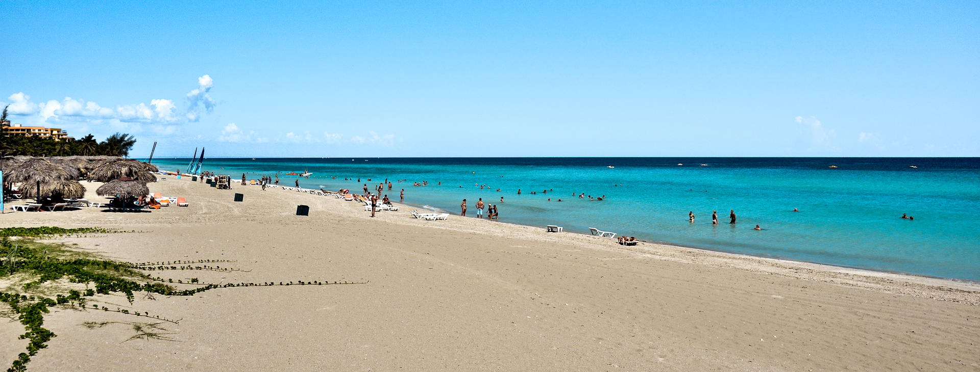 Sol Palmeras Obrázok6