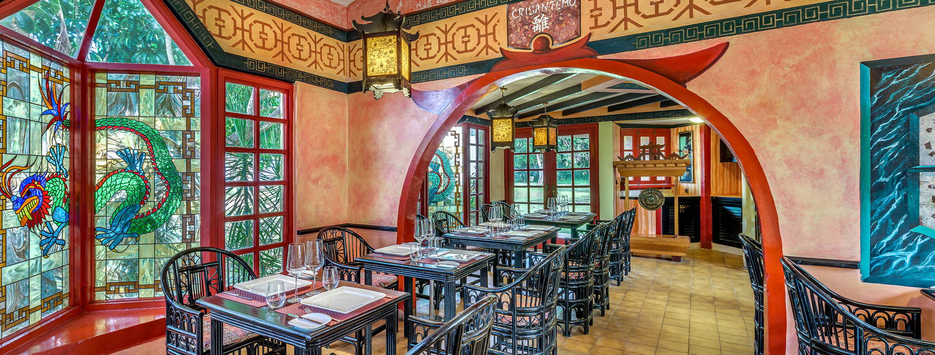 Sol Palmeras Obrázok26