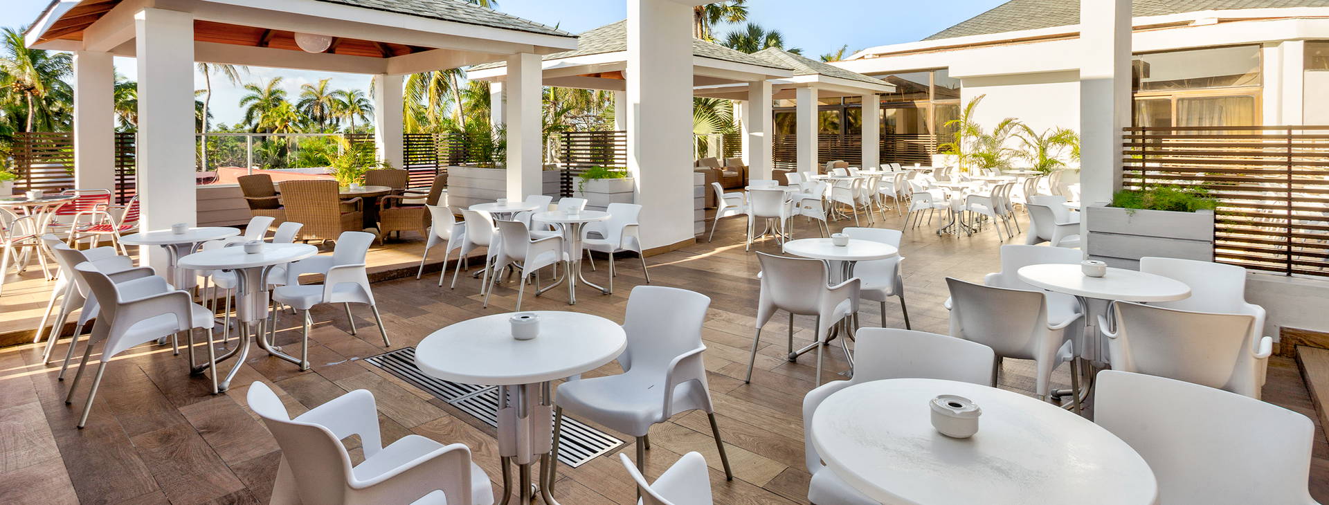 Sol Palmeras Obrázok31