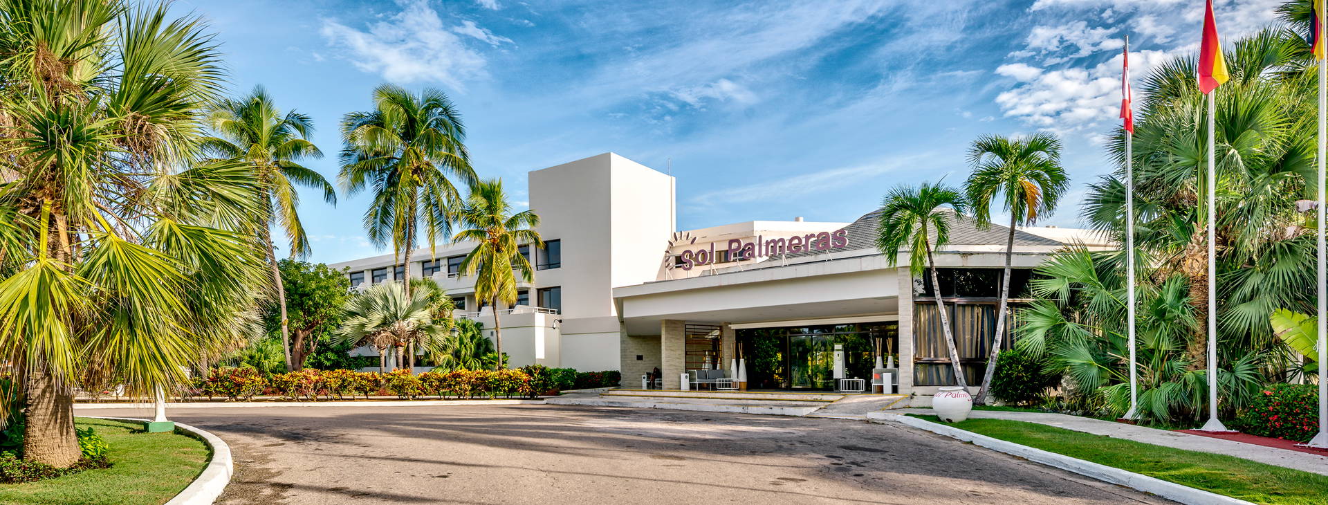 Sol Palmeras Obrázok41