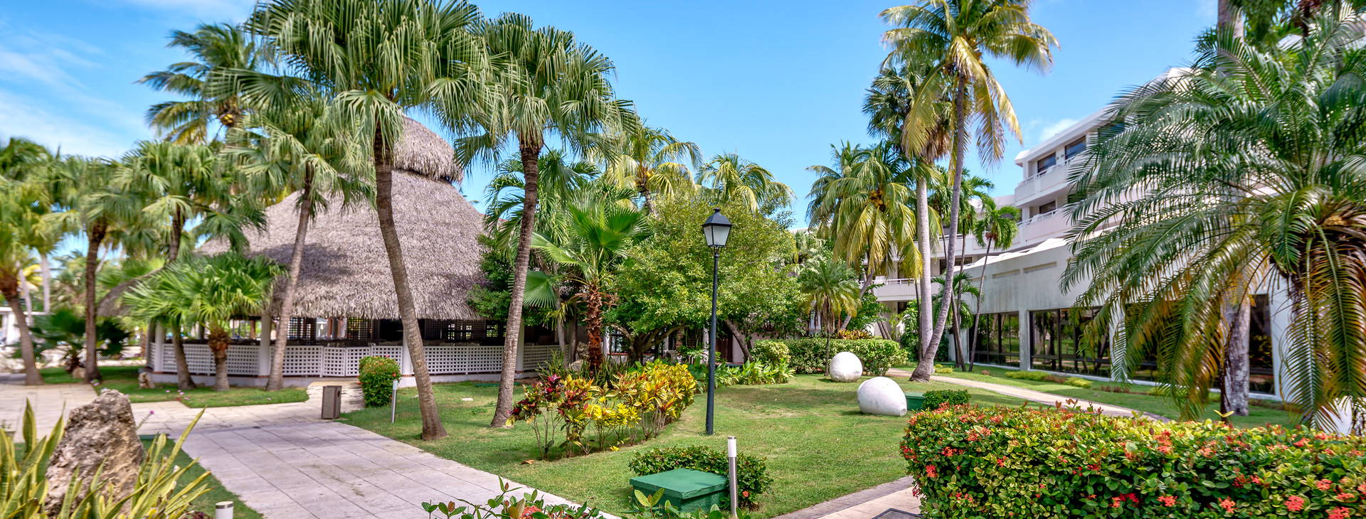 Sol Palmeras Obrázok20