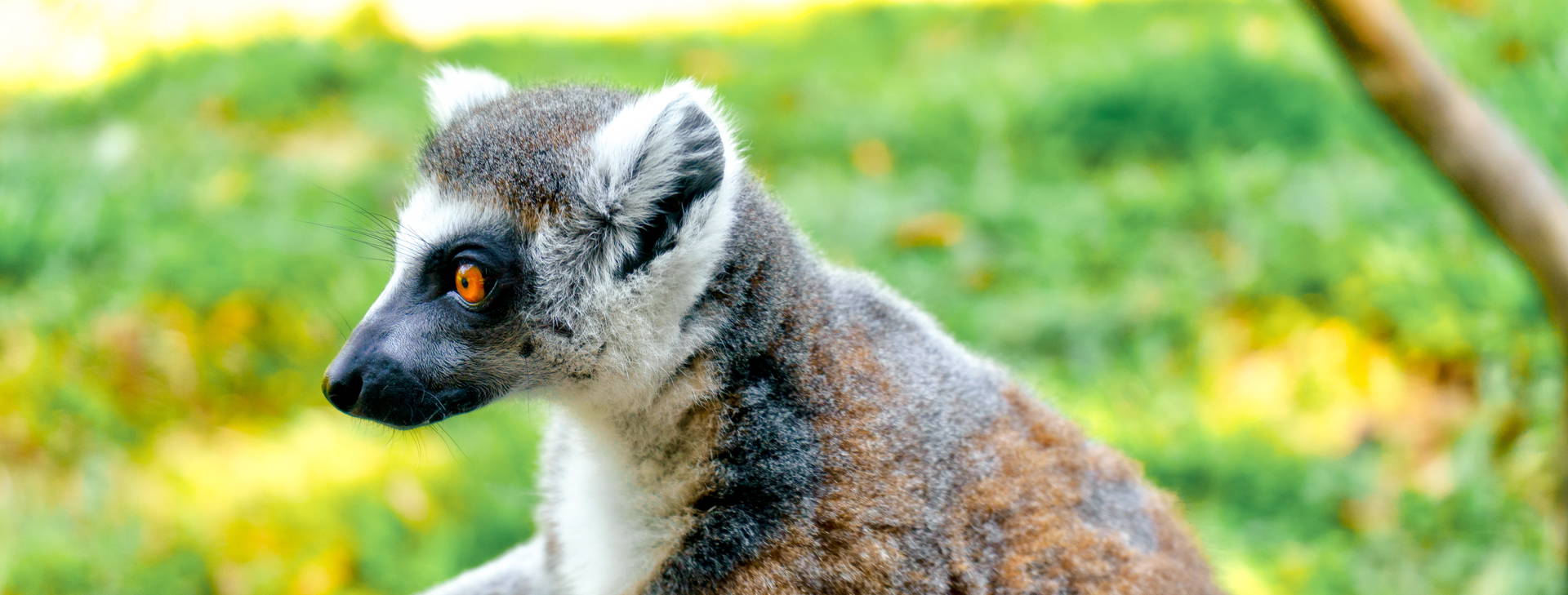 Ubytování VPQ Plus Obrázok8