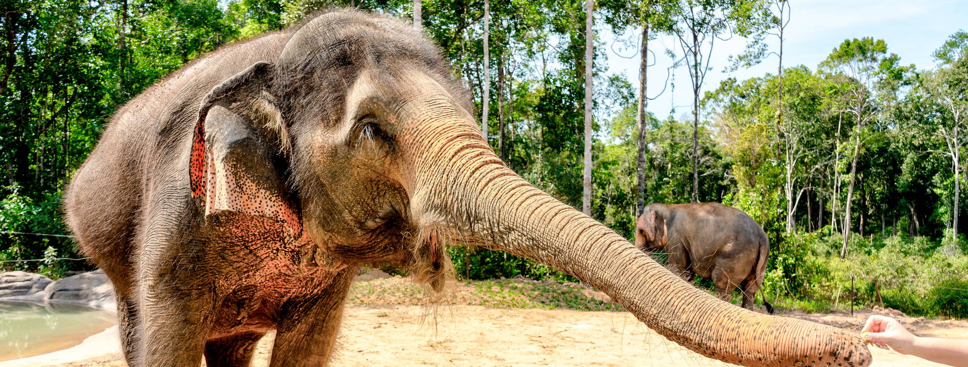 Ubytování VPQ Plus Obrázok4