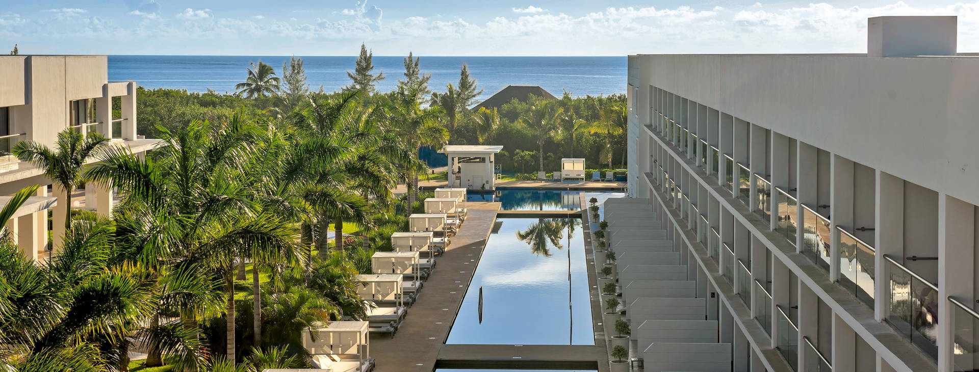 Platinum Yucatan Princess Obrázok9