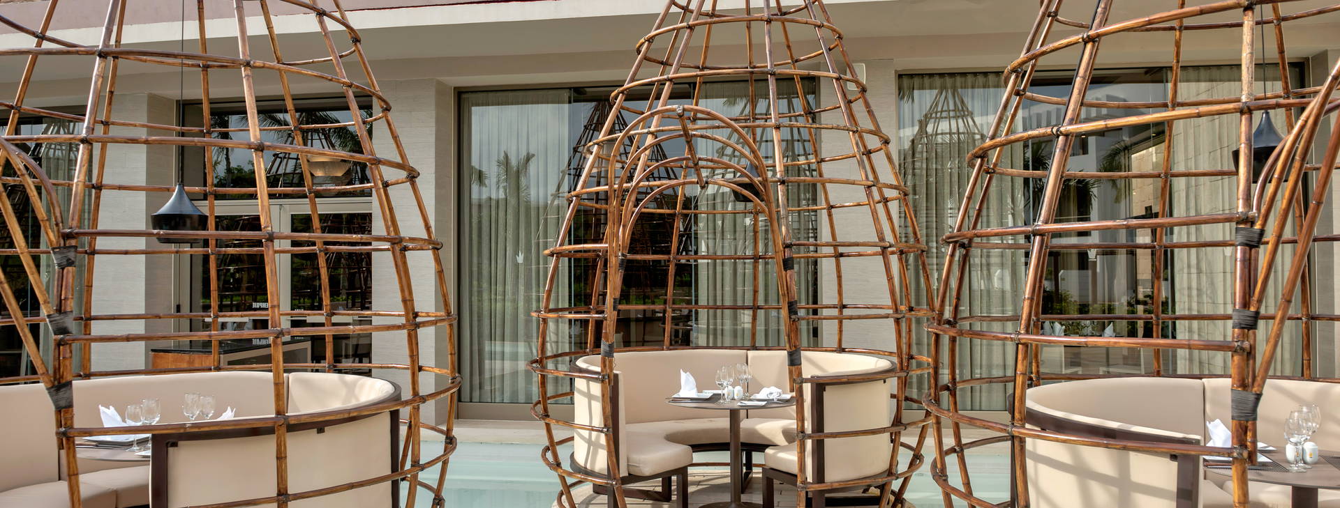 Platinum Yucatan Princess Obrázok20