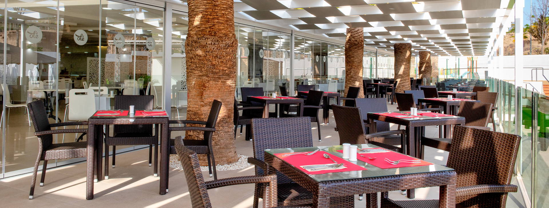 Olé Tropical Tenerife Obrázok11