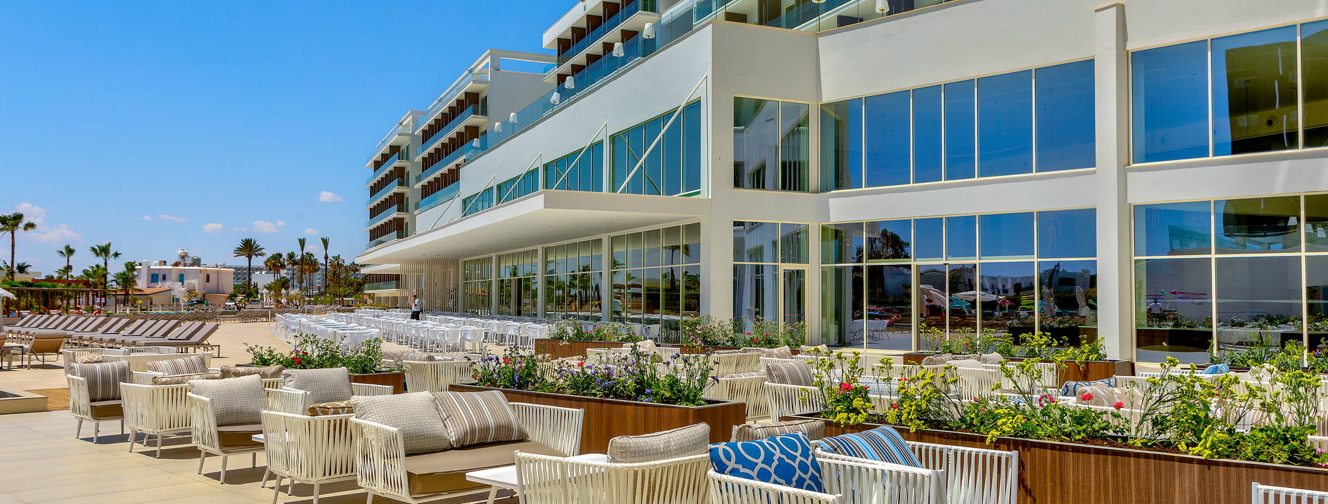 Chrysomare Obrázok21