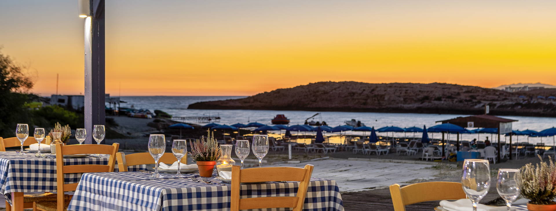 Chrysomare Obrázok17