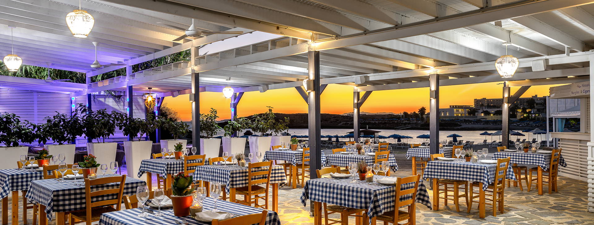 Chrysomare Obrázok16