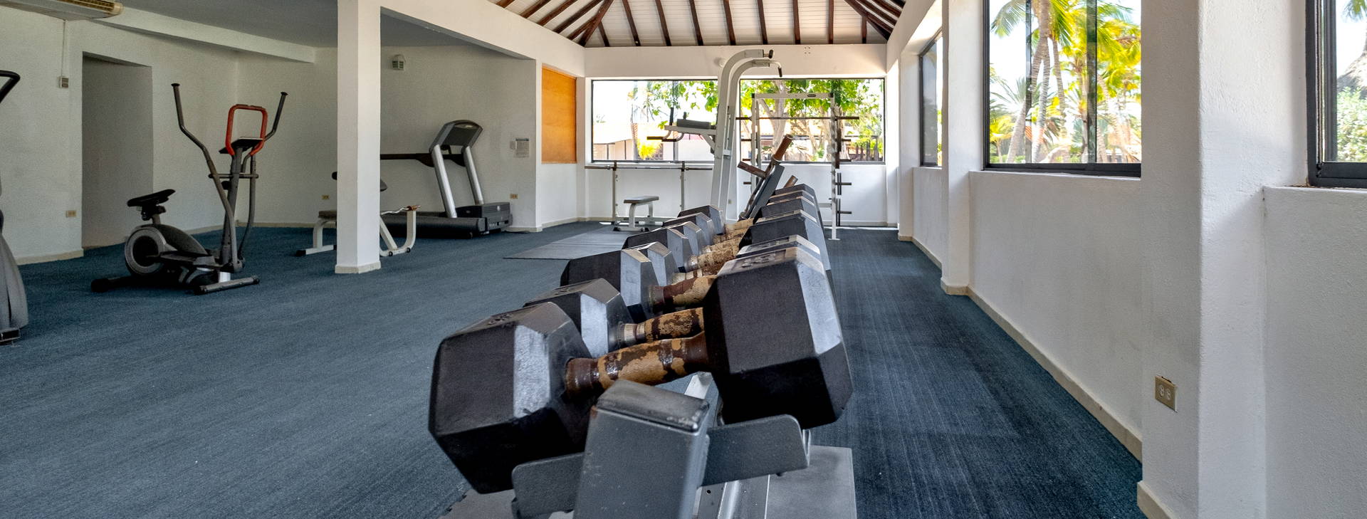 Paradise Coche Obrázok24