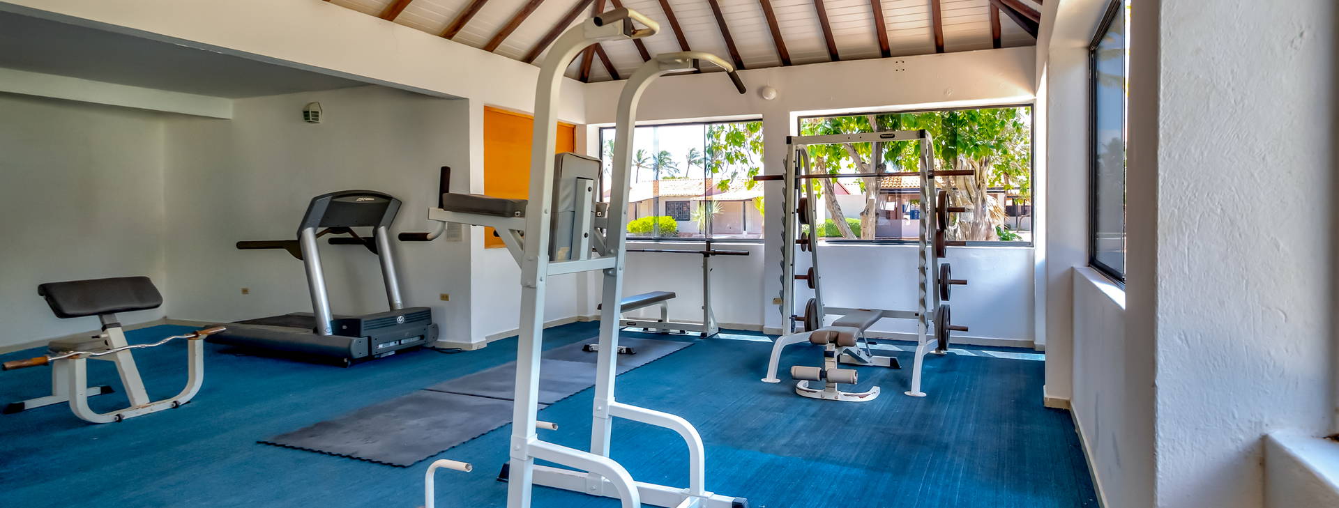 Paradise Coche Obrázok23