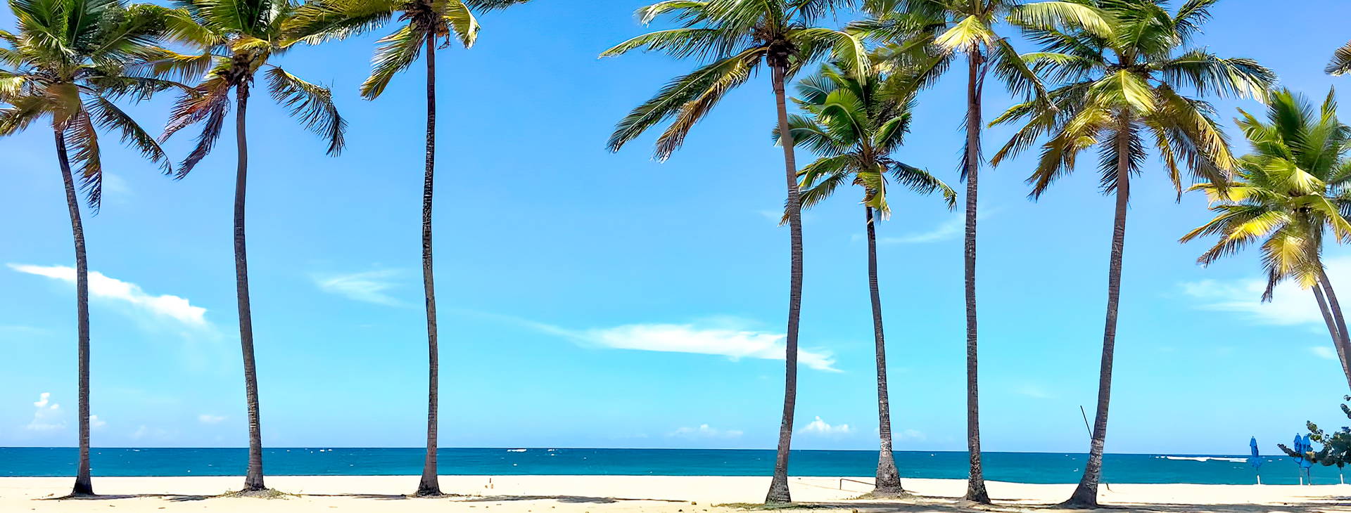 Emotions Playa Dorada Obrázok6