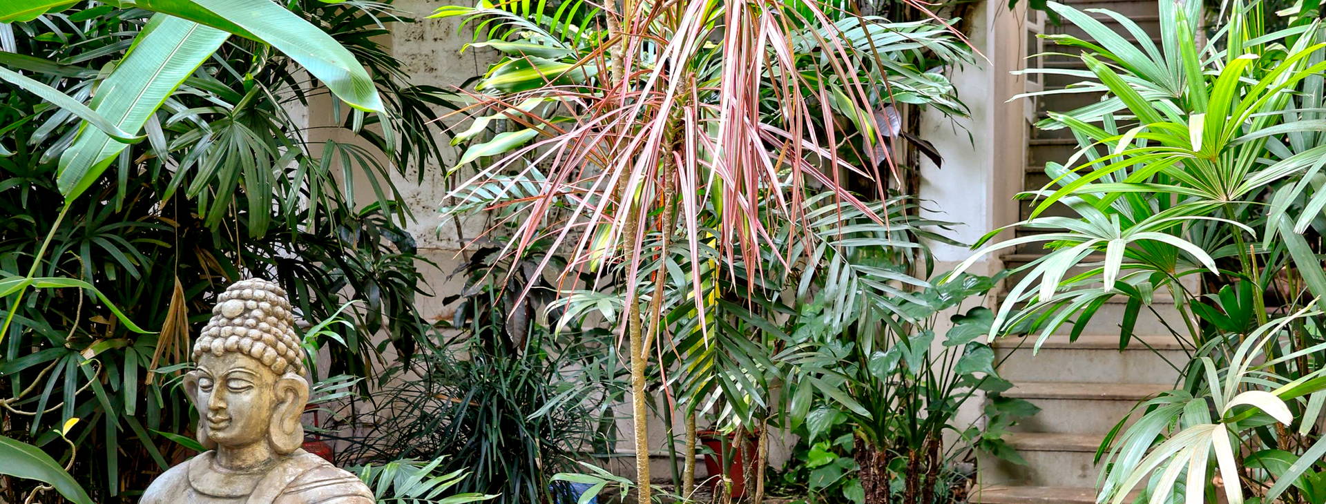 Alidia Beach Resort Obrázok14