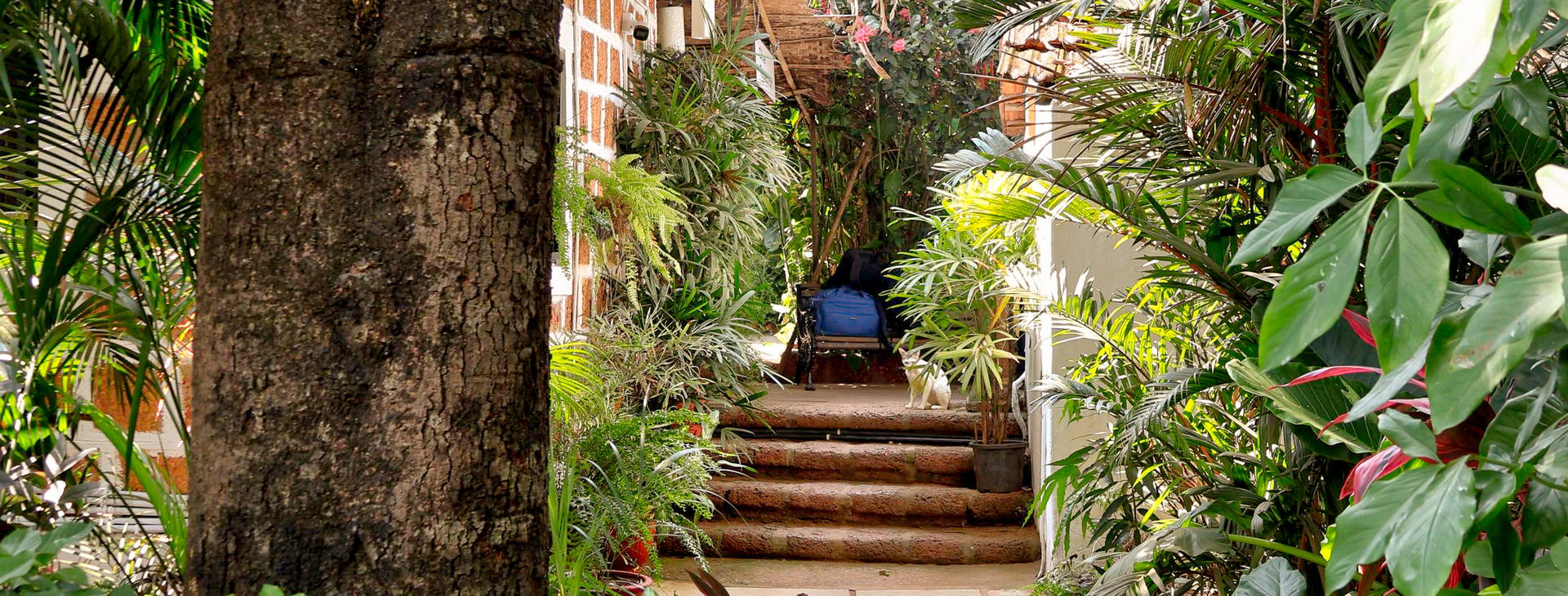 Alidia Beach Resort Obrázok11