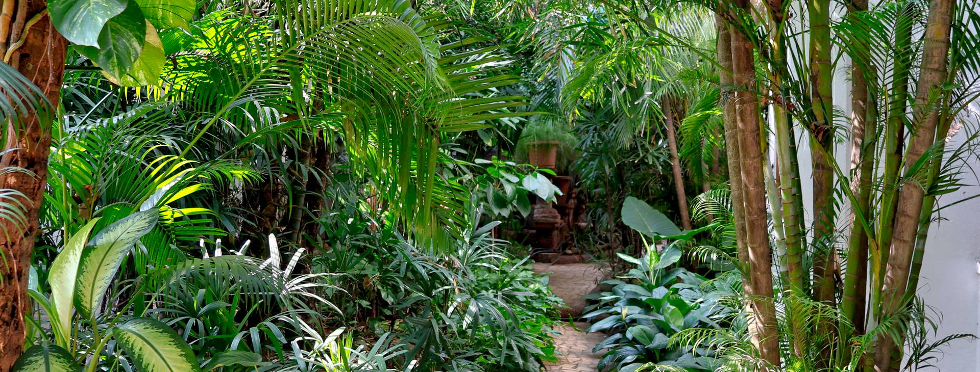 Alidia Beach Resort Obrázok15