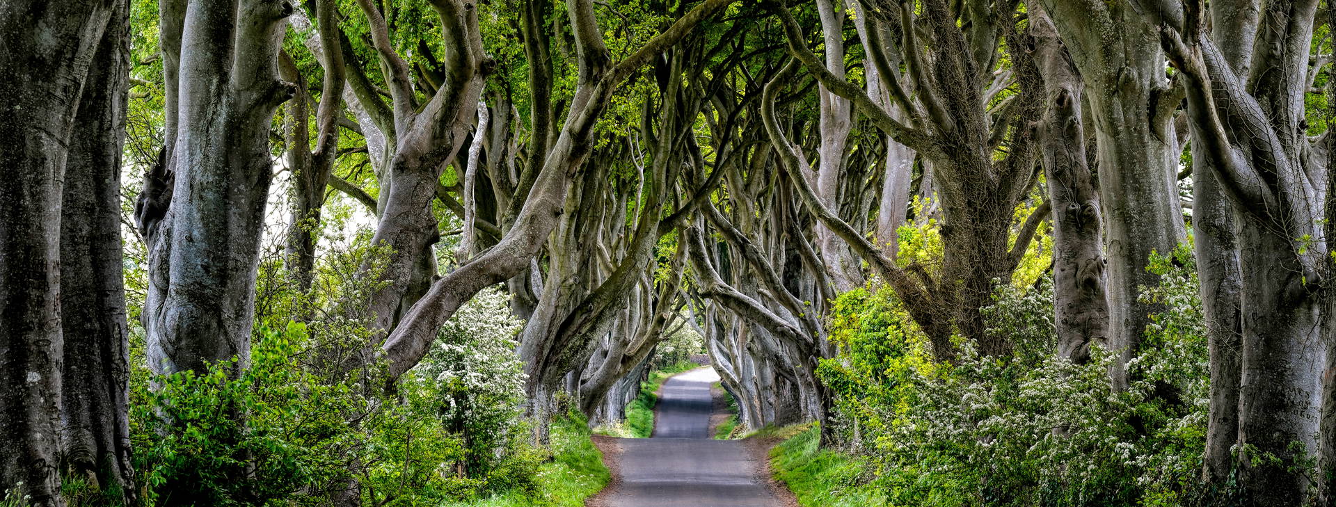 Ubytování IRP Obrázok1