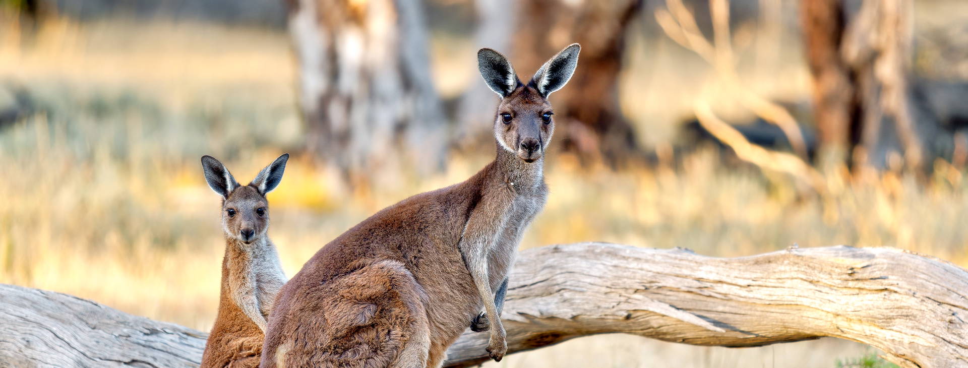 Ubytování AUN Obrázok5