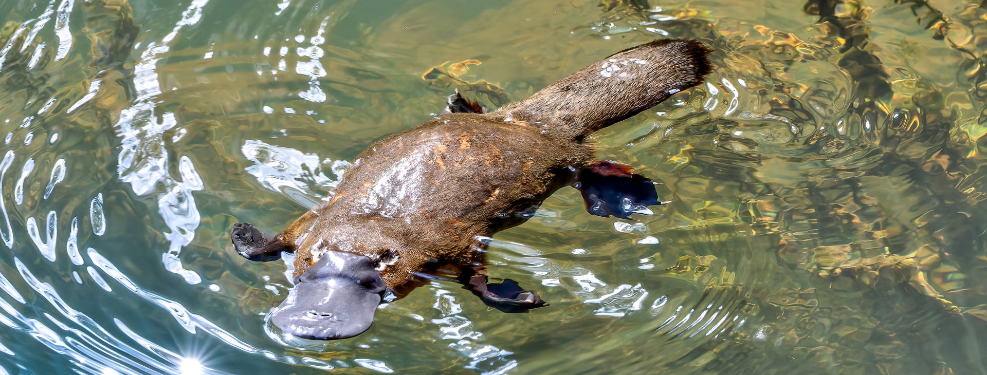 Ubytování AUN Obrázok9