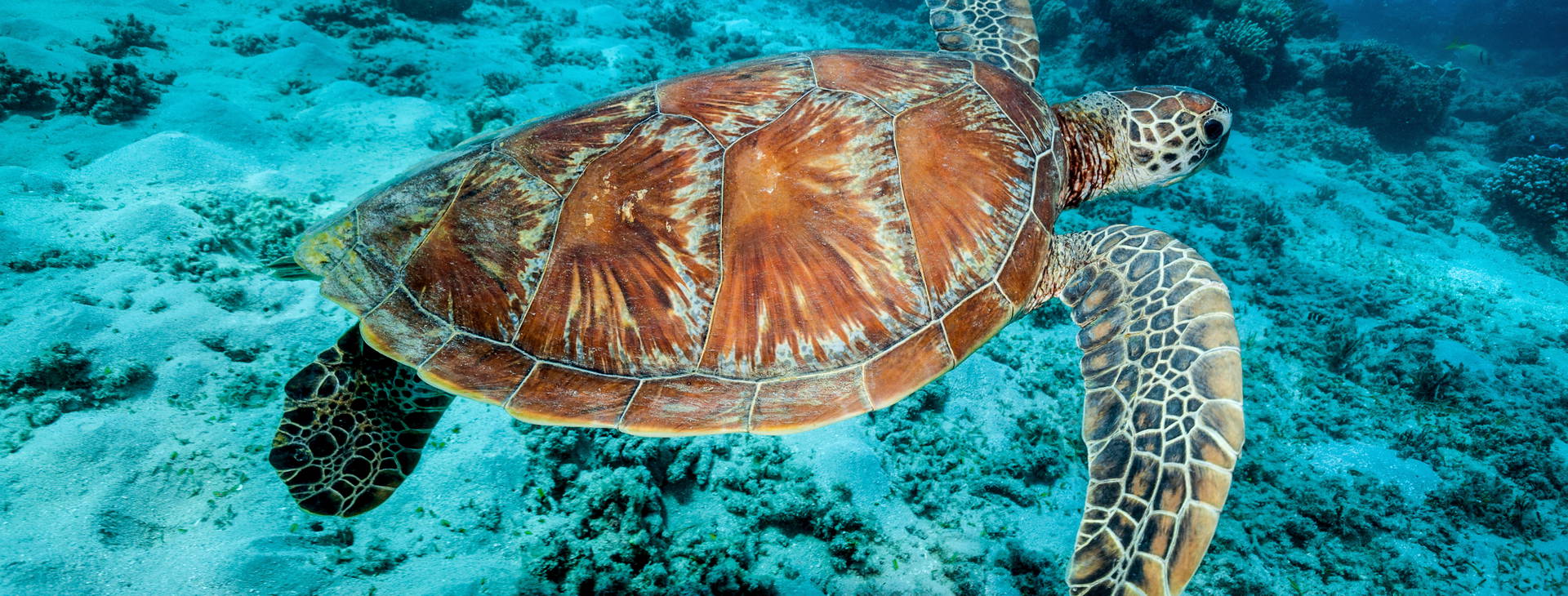 Ubytování AUN Obrázok12