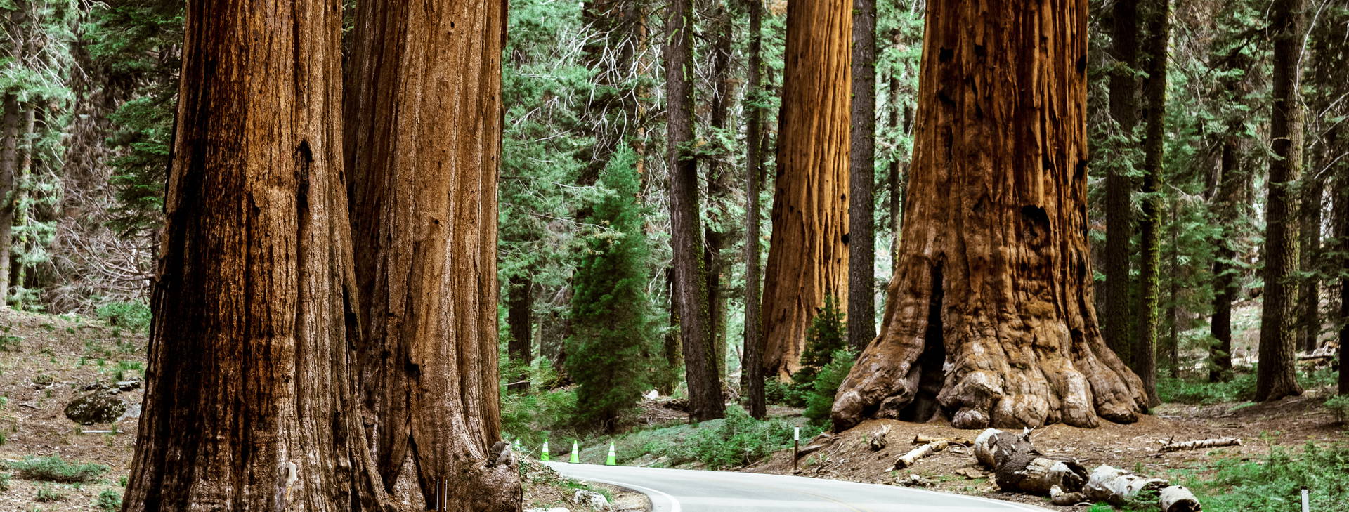 Ubytování AUN Obrázok24