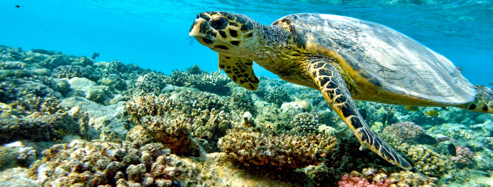 Ubytování AUN Obrázok31